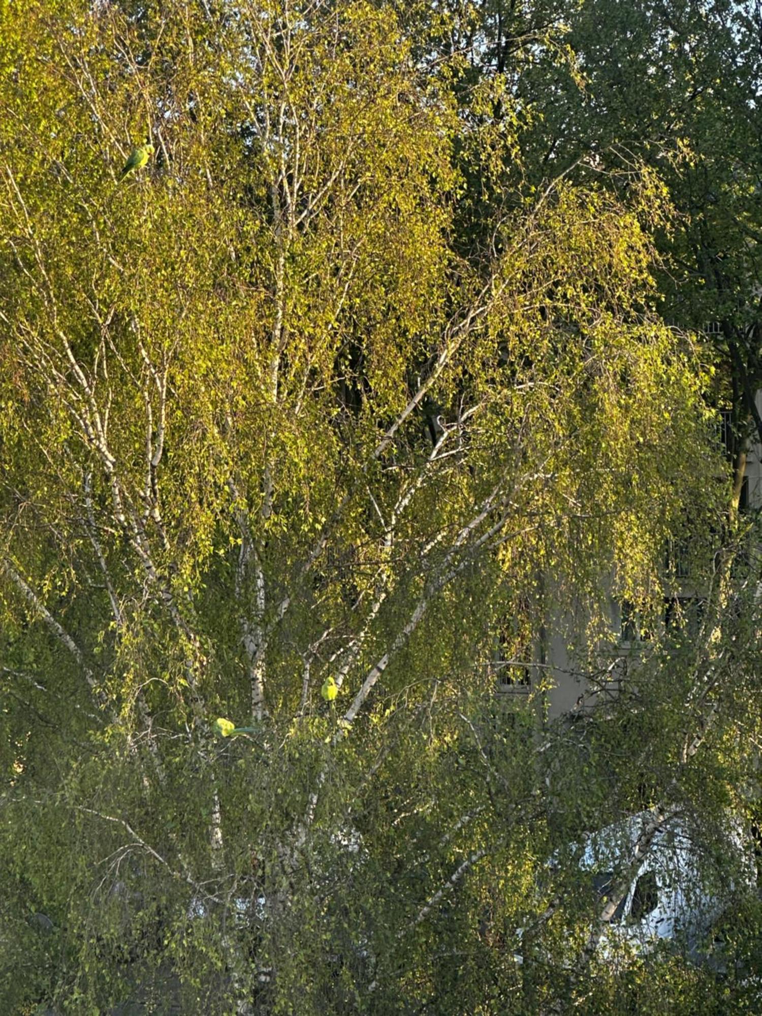 Joli, Spacieux, Lumineux Proche Paris Et Orly Villejuif Buitenkant foto